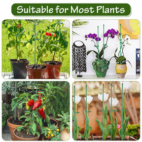 Indoor and outdoor plants benefit from Tetutor 25-pack stake set.