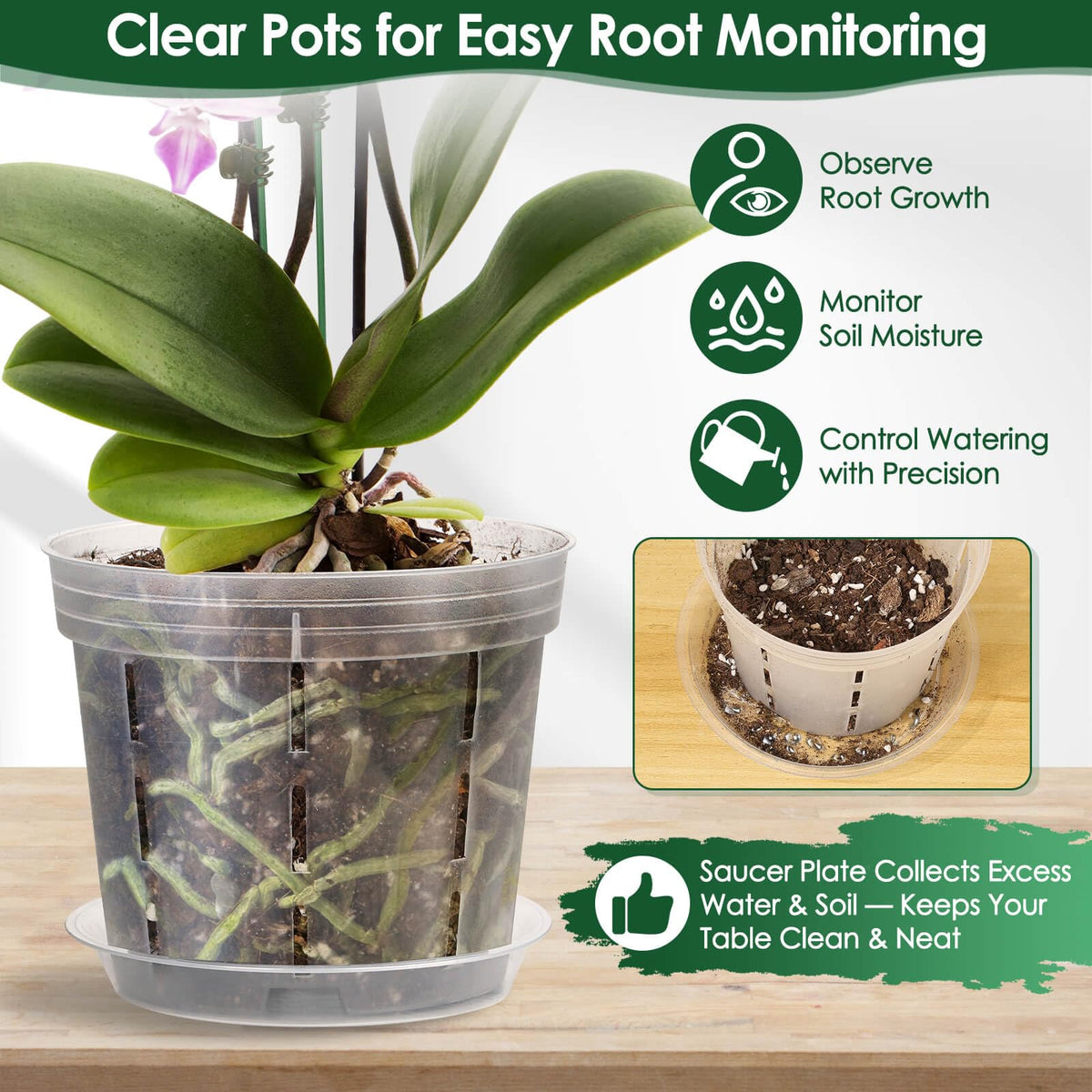 Tetutor matching saucers for orchid pots keep work area tidy