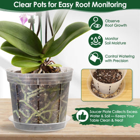 Tetutor matching saucers for orchid pots keep work area tidy