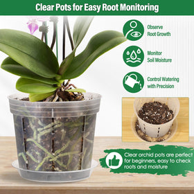 Tetutor multi-size orchid pots set fits diverse plants.