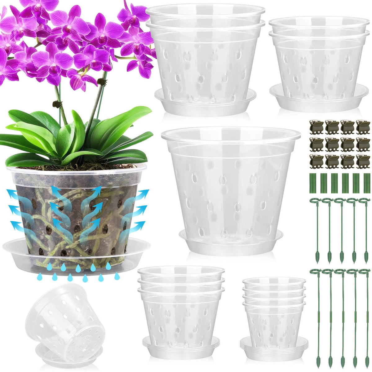 Tetutor orchid pot 3-inch with holes, clear design for easy watering and root monitoring.