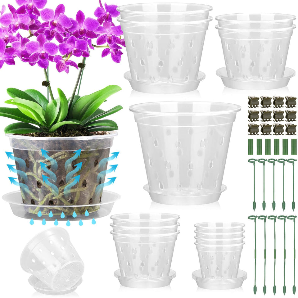 Tetutor orchid pot 3-inch with holes, clear design for easy watering and root monitoring.