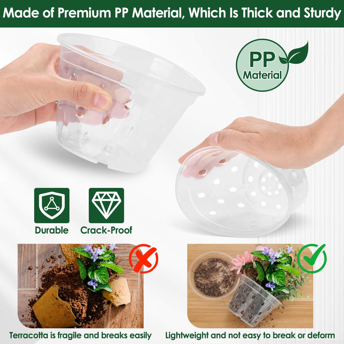 Tetutor orchid pot 4-inch shows roots clearly for precise moisture control.