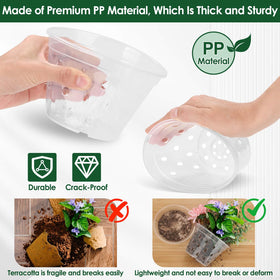 Tetutor orchid pot 4-inch shows roots clearly for precise moisture control.