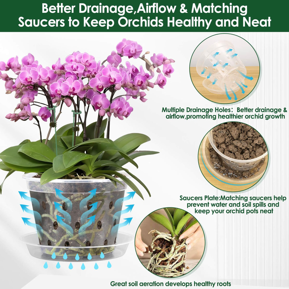 Tetutor orchid pot 7-inch with saucer, keeps workspace tidy while watering.