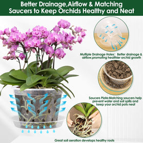 Tetutor orchid pot 7-inch with saucer, keeps workspace tidy while watering.