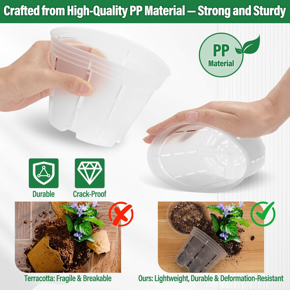 Tetutor orchid pot clear view helps monitor moisture.