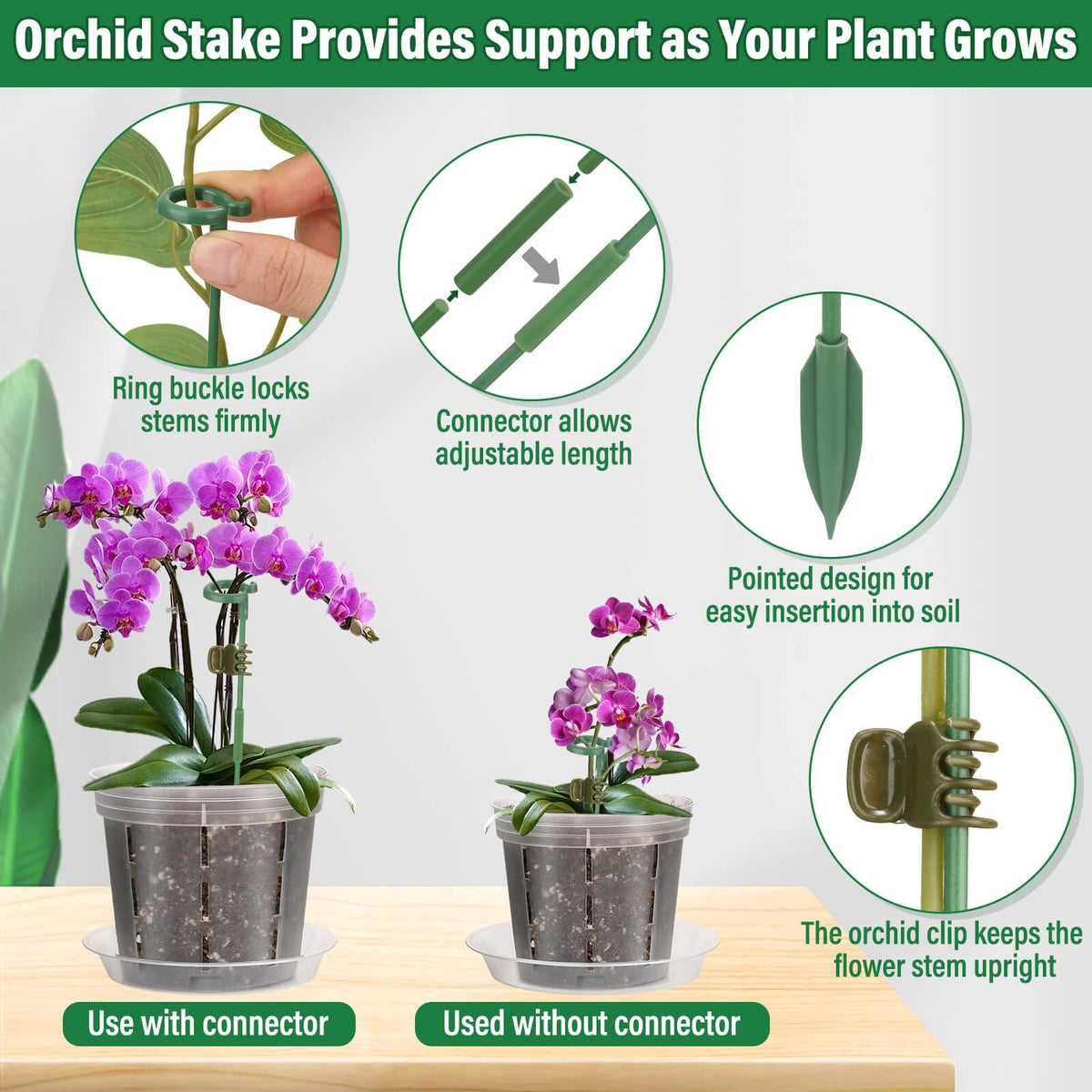 Tetutor orchid pot drainage saucer keeps workspace tidy.
