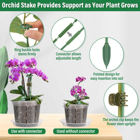 Tetutor orchid pot drainage saucer keeps workspace tidy.