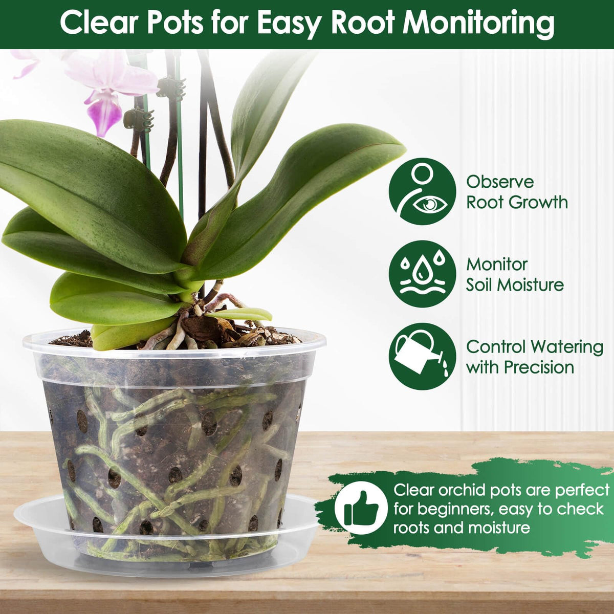 Tetutor orchid pot with saucer set prevents leaks and mess.
