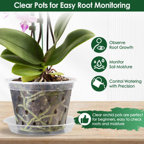 Tetutor orchid pot with saucer set prevents leaks and mess.