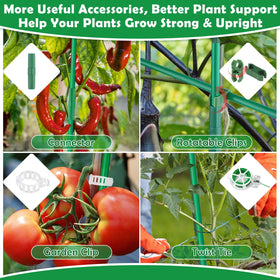 Tetutor indoor/outdoor plant support setup for tomatoes and vegetables