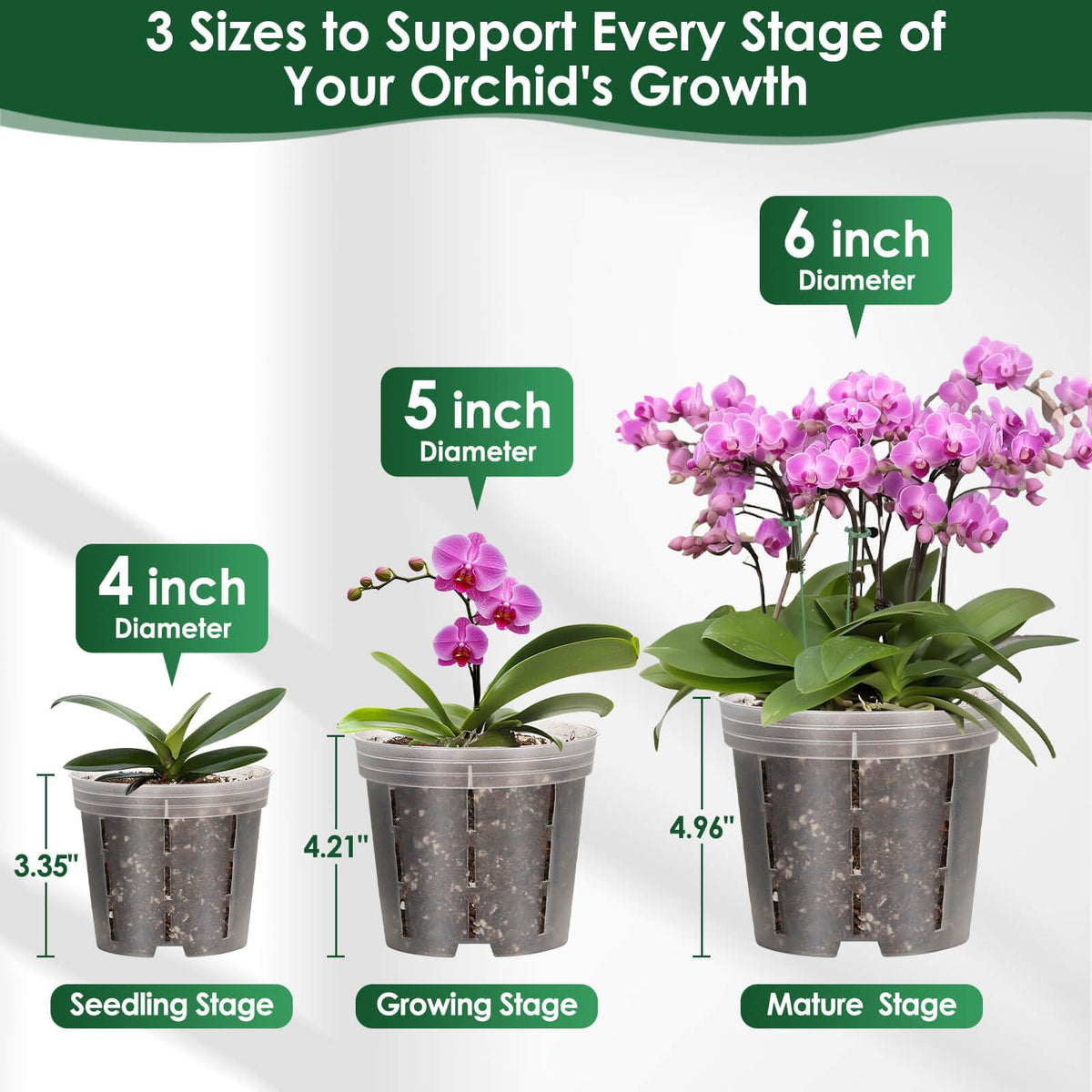 Tetutor plant stakes and connectors provide stable support for tall orchids