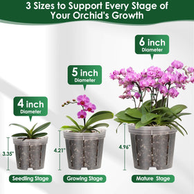 Tetutor plant stakes and connectors provide stable support for tall orchids