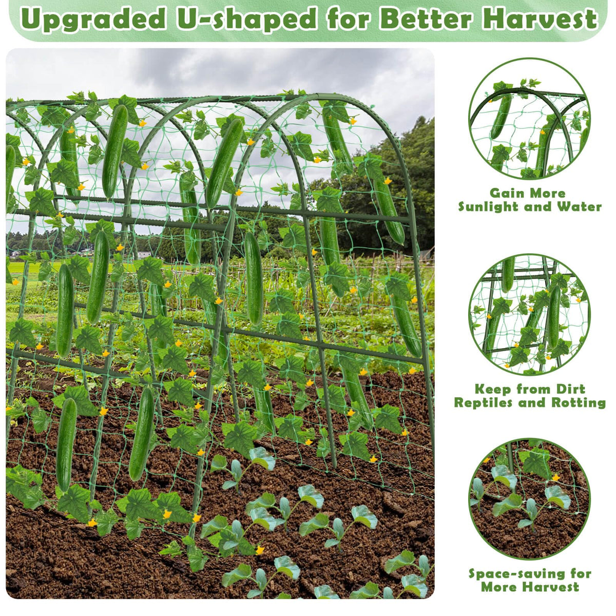 Tetutor plastic-coated steel core ensures rust-proof, durable garden trellis
