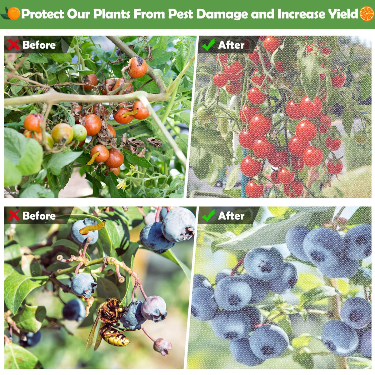 Tetutor protecting fruit trees with netting against birds and insects.