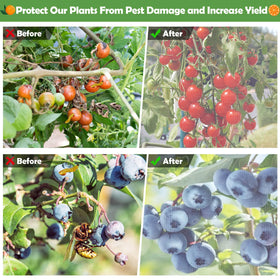 Tetutor protecting fruit trees with netting against birds and insects.