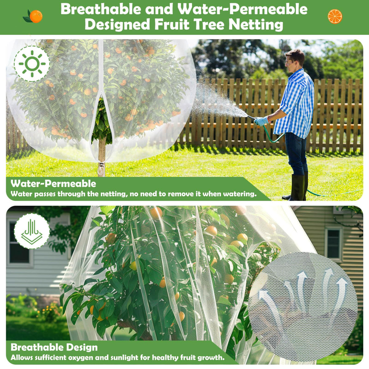 Tetutor see-through design allows easy monitoring while netting stays in place