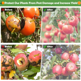 Tetutor see-through design keeps plants visible while protected by the netting.