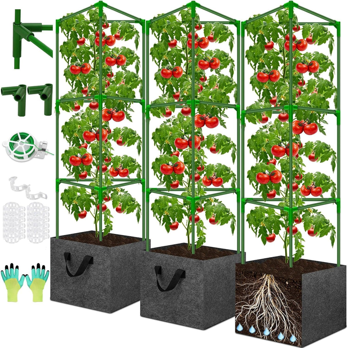 Tetutor tomato cages with 10-gallon grow bags support robust tomato growth and easy mobility.