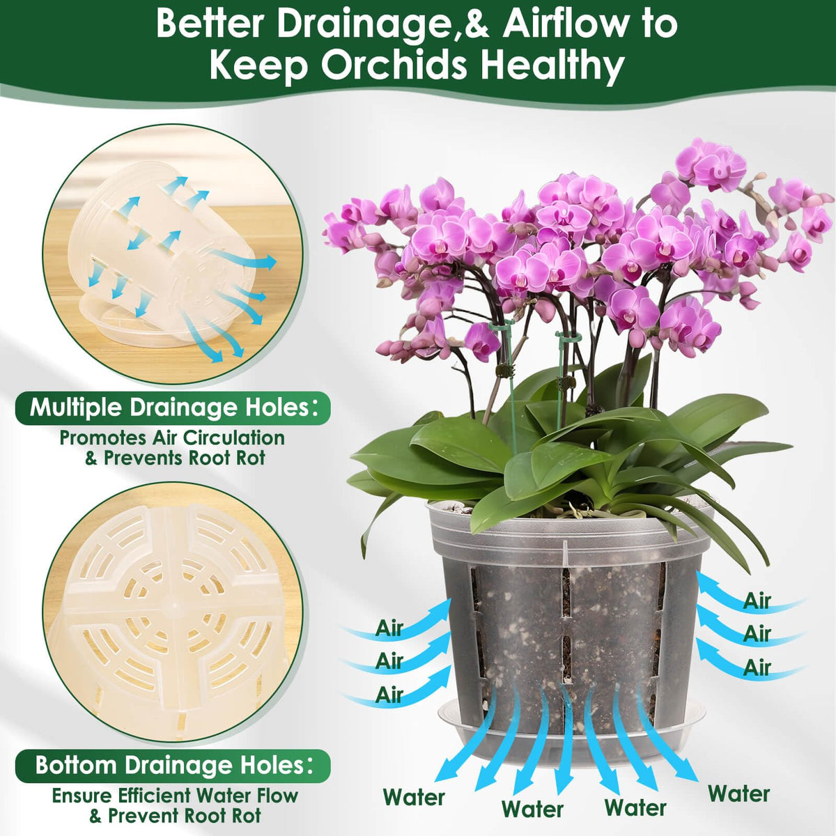Tetutor ventilation and drainage holes improve airflow around roots