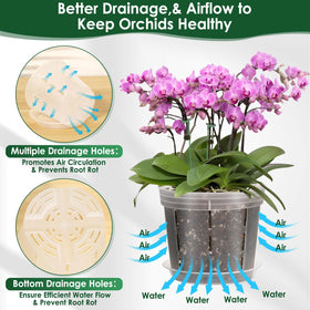 Tetutor ventilation and drainage holes improve airflow around roots