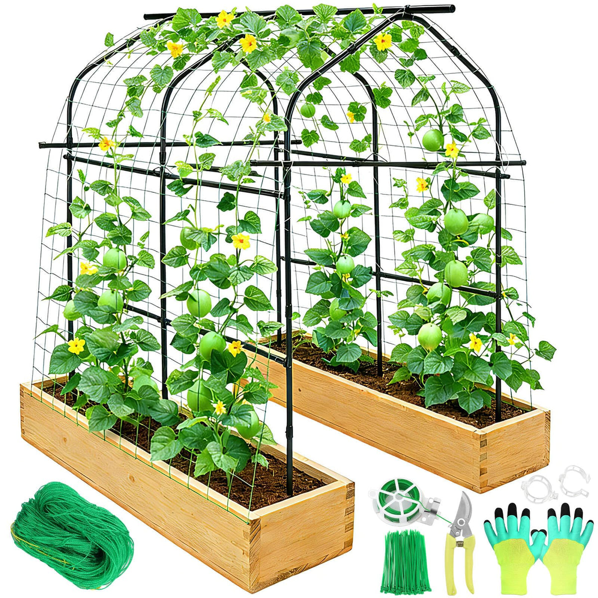 Tetutor walk-through arch trellis supports climbing plants with spacious access.