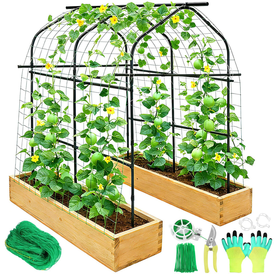 Tetutor walk-through arch trellis supports climbing plants with spacious access.