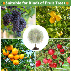 Tetutor see-through mesh enables monitoring growth without removing nets during watering.