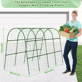 Tetutor weatherproof trellis resists rain and heat for longer use
