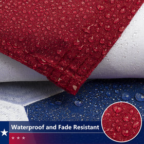 DANF FLAG Texas flag brass grommets for secure mounting in windy conditions