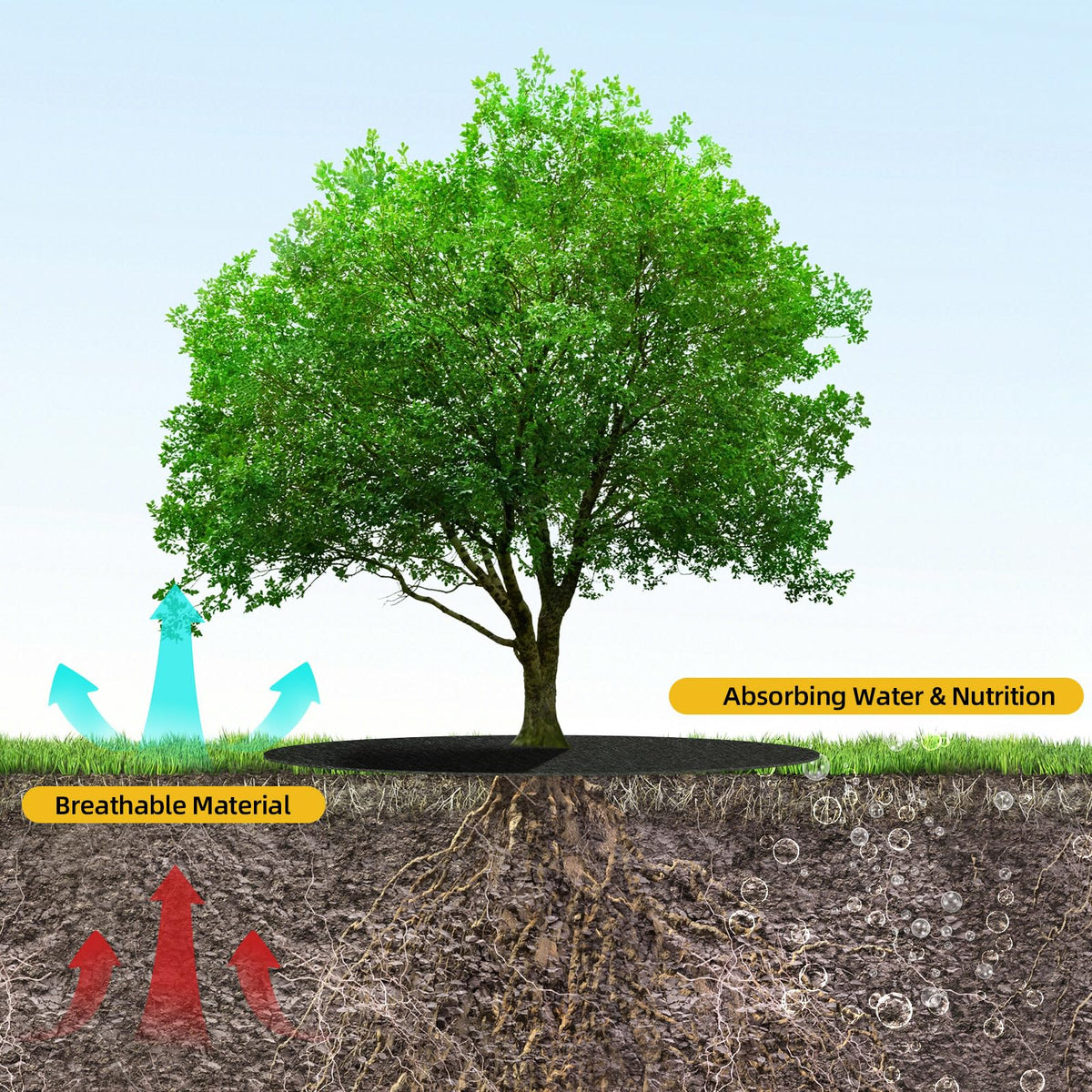 Tezhile easy-installation step visual guides placement around a tree