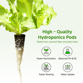 TEZKOLES sponge pods show dramatic size expansion when soaked for easy prep.