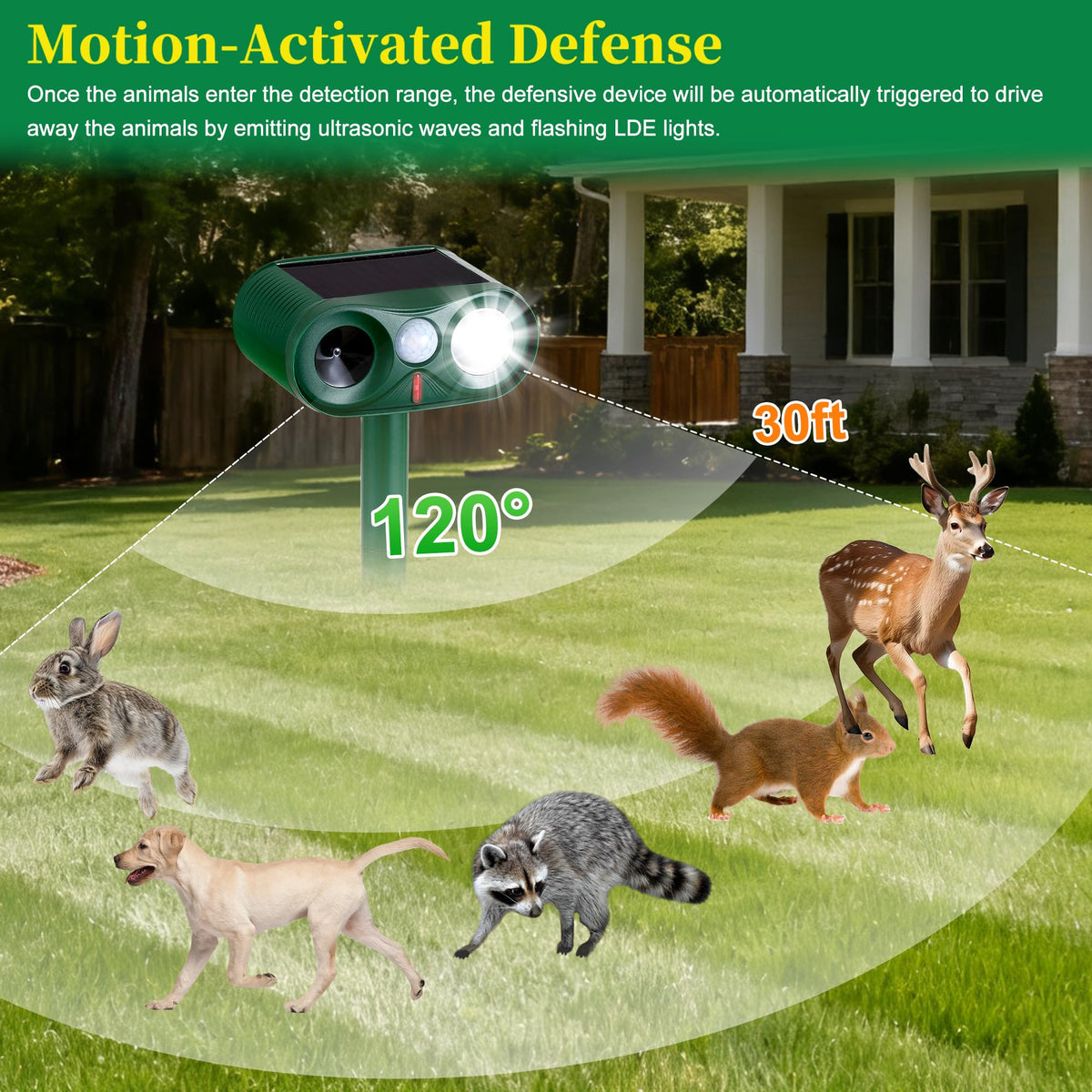 TFKK motion sensor model activates deterrence in outdoor spaces.