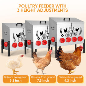 Tgeyd adjustable height stand adapts for chicks to full-grown birds for cleaner feeding.