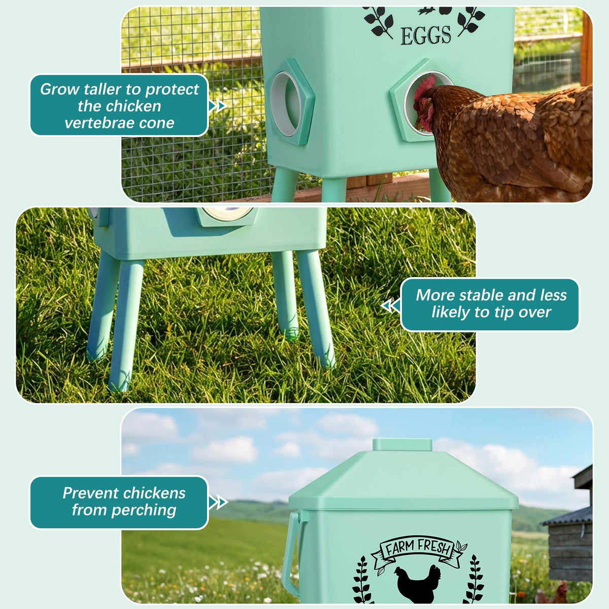 Tgeyd anti-roost cone prevents birds from perching on top for sanitation