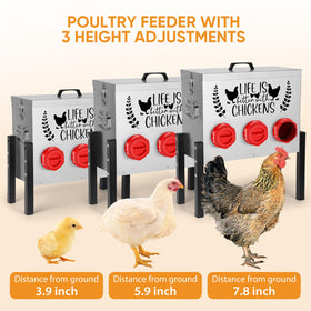 TGEYD chicken feeder locking lid keeps feed dry in rain and wind