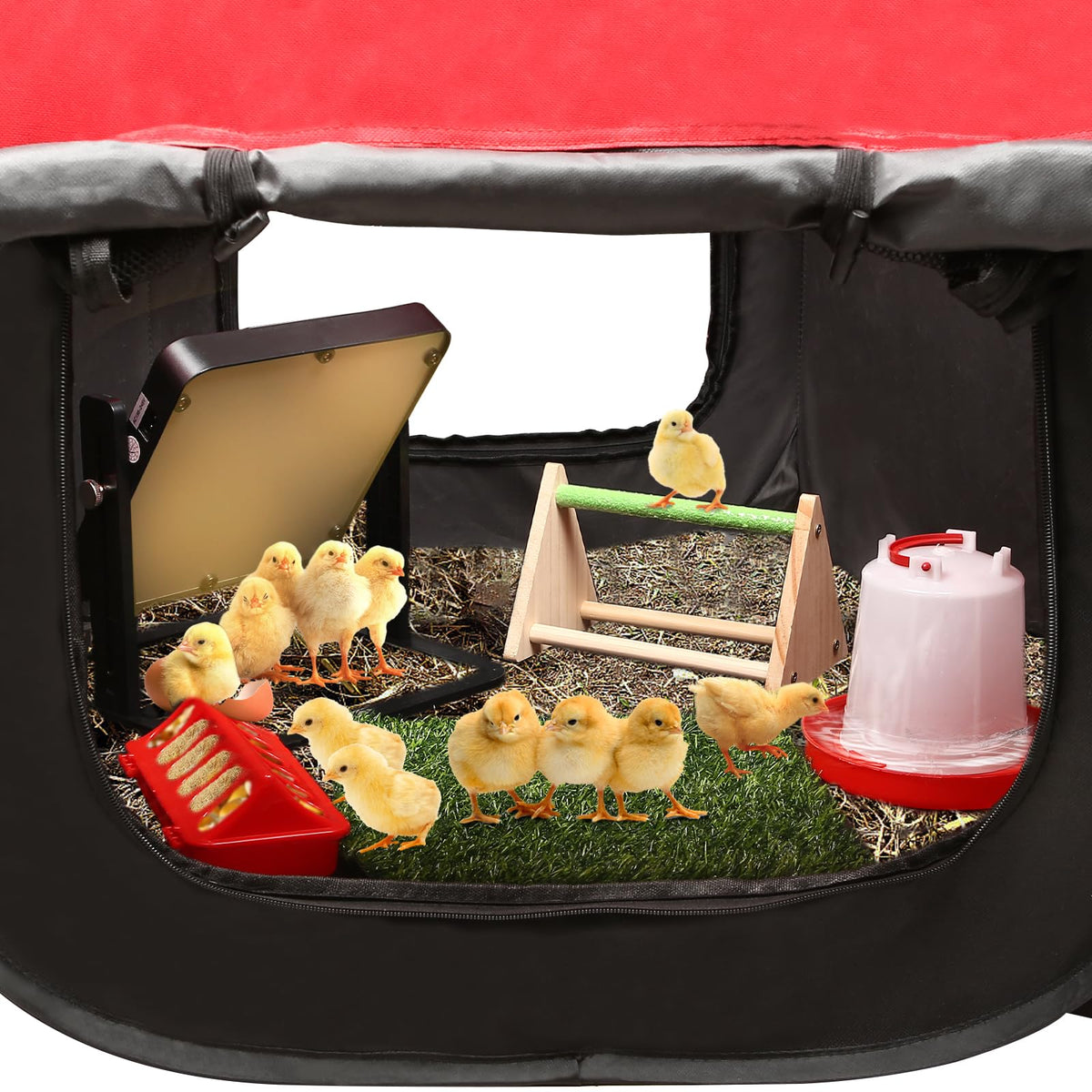 TharroCotte ground stakes secure the brooder for outdoor use.