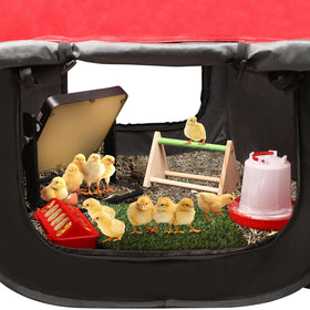 TharroCotte ground stakes secure the brooder for outdoor use.