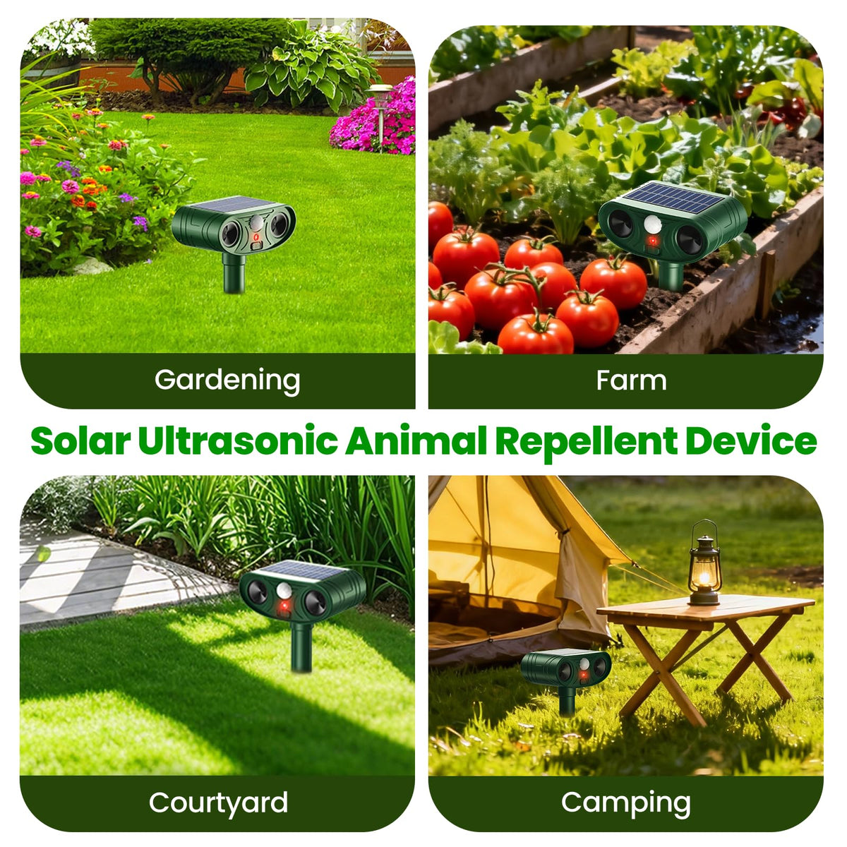 Thcritter detection-range-25-30ft provides broad coverage.