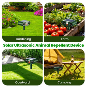 Thcritter detection-range-25-30ft provides broad coverage.