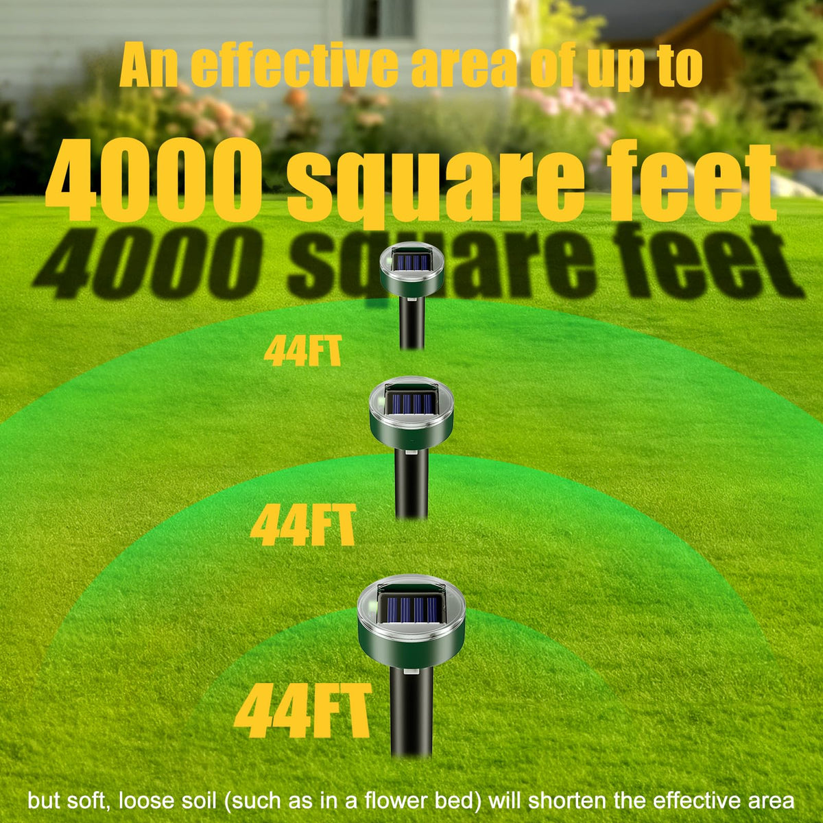 Thcritter ground spike placement ensures stable positioning.