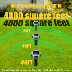 Thcritter ground spike placement ensures stable positioning.