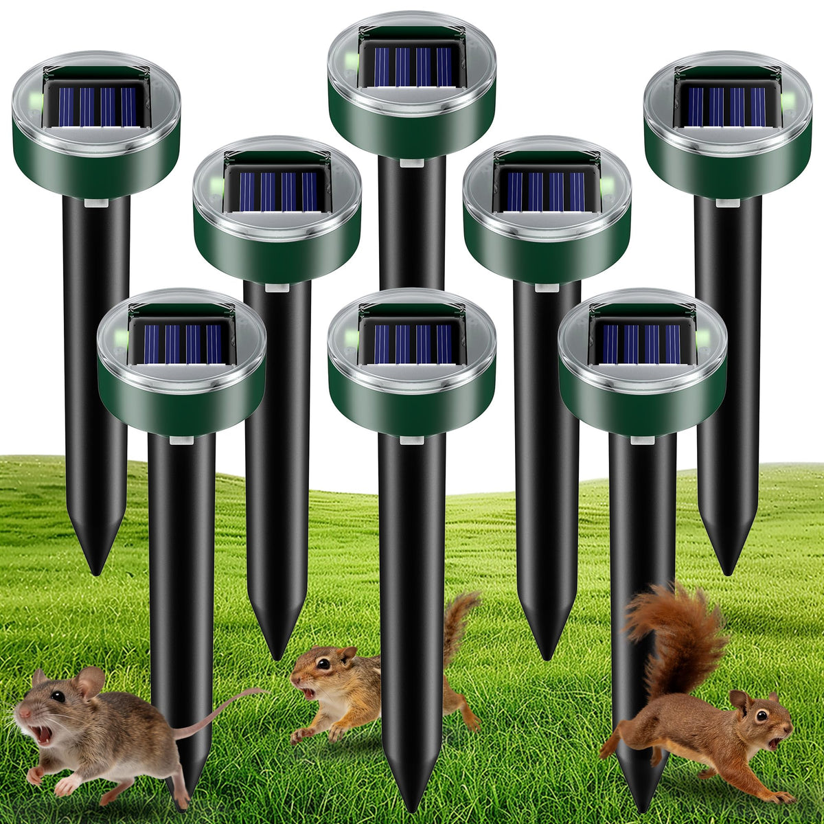 Thcritter round-head deterrent front view protects lawns from burrowing pests.