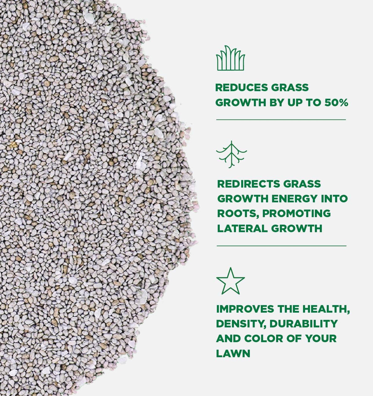 Visible color and health improvements with Governor G granular lawn regulator.