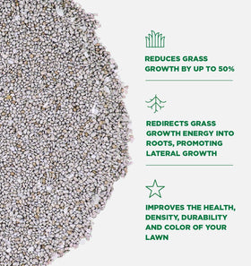 Visible color and health improvements with Governor G granular lawn regulator.