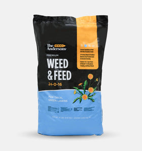The Andersons Premium Weed and Feed 24-0-16 bottle pour promotes quick greening.