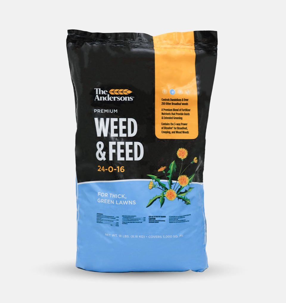 The Andersons Premium Weed and Feed 24-0-16 bottle pour promotes quick greening.