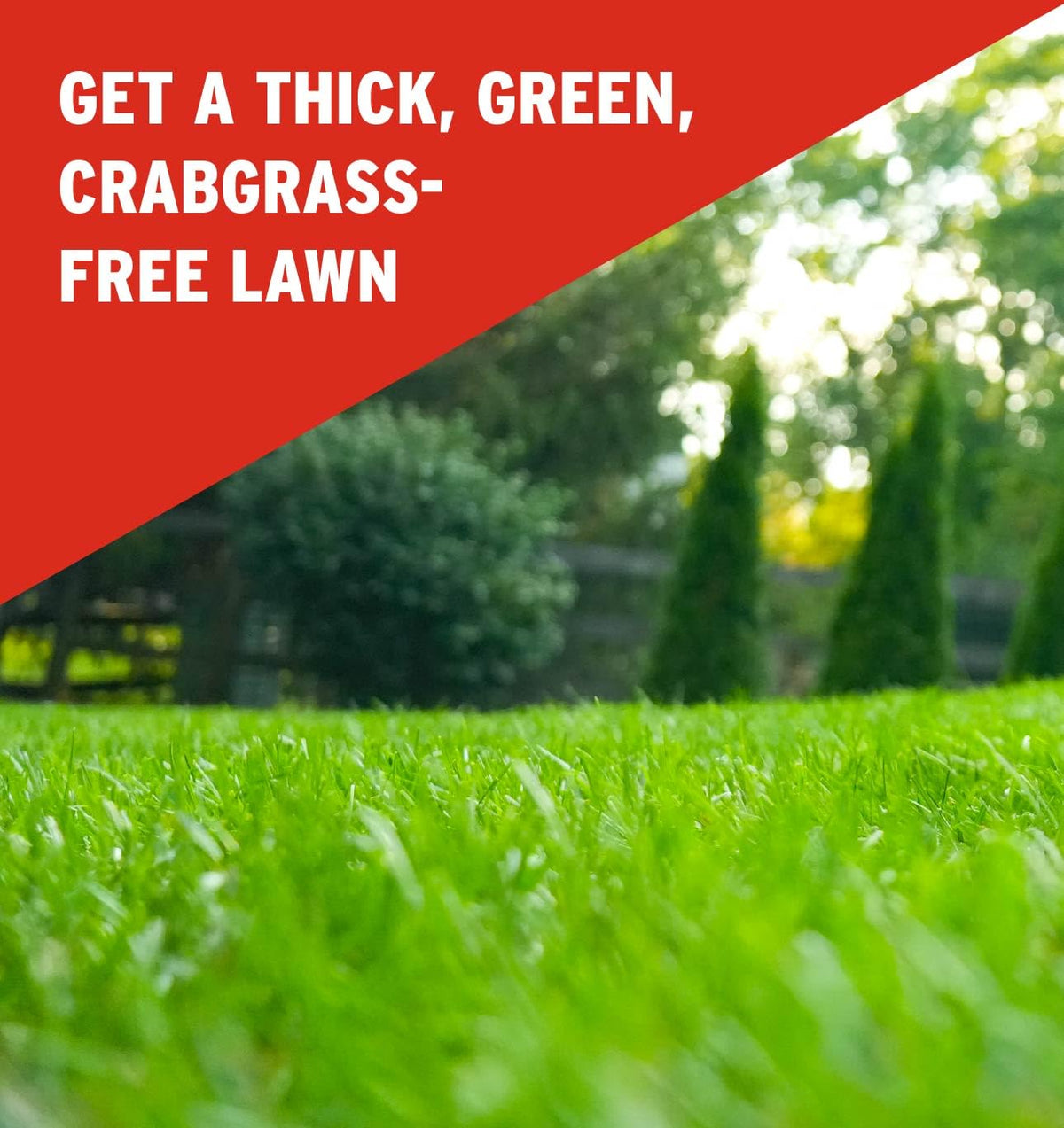 Safe for most turf types, not for dichondra or bentgrass