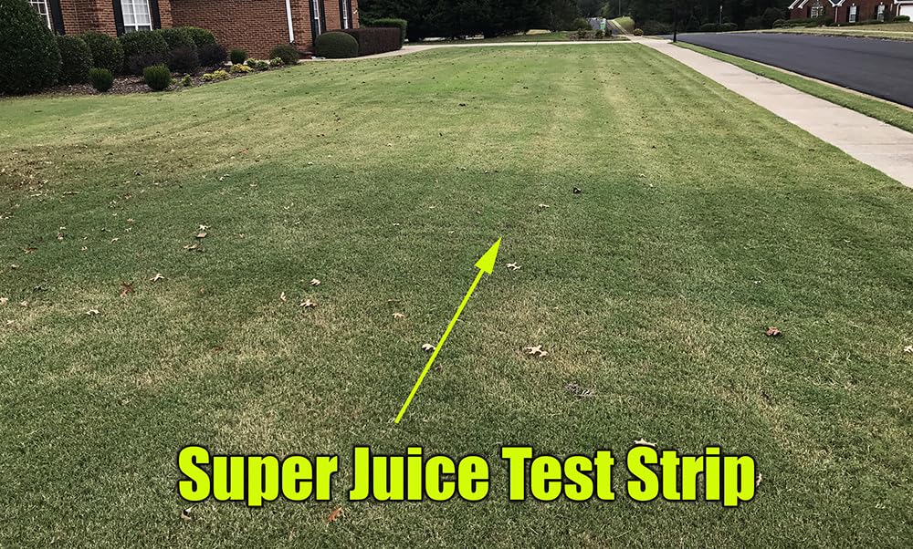 The Andersons Super Juice iron-rich lawn nutrition supports vibrant color.
